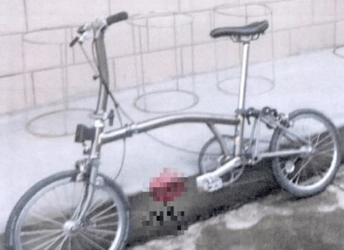 62歲男子偷自行車被判刑十個月 早知道這么貴,我就不偷了