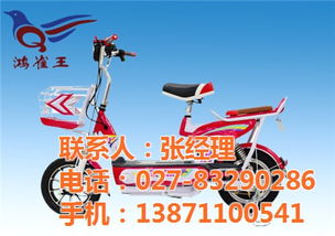 雀王電動(dòng)車品牌,鴻雀王電動(dòng)車廠家 已認(rèn)證 ,山西雀王